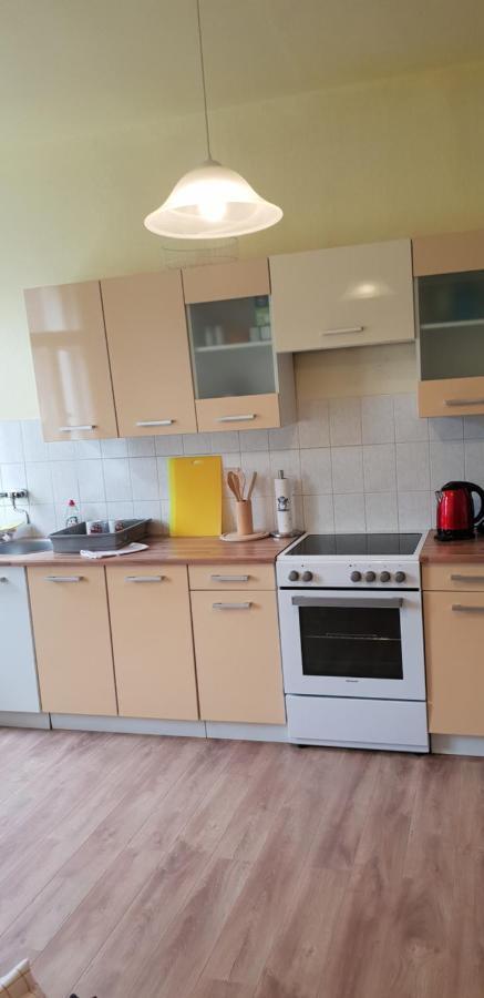Apartments Wagner Crimmitschau Dış mekan fotoğraf