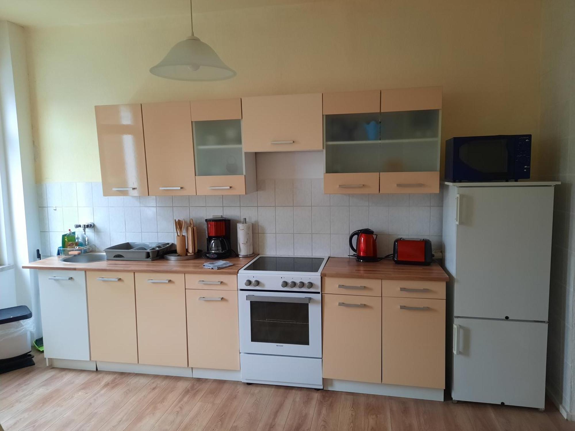 Apartments Wagner Crimmitschau Dış mekan fotoğraf